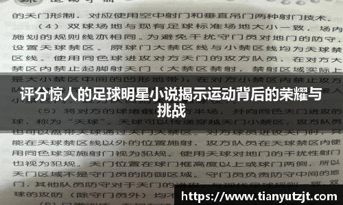 评分惊人的足球明星小说揭示运动背后的荣耀与挑战