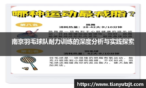 南京羽毛球队耐力训练的深度分析与实践探索